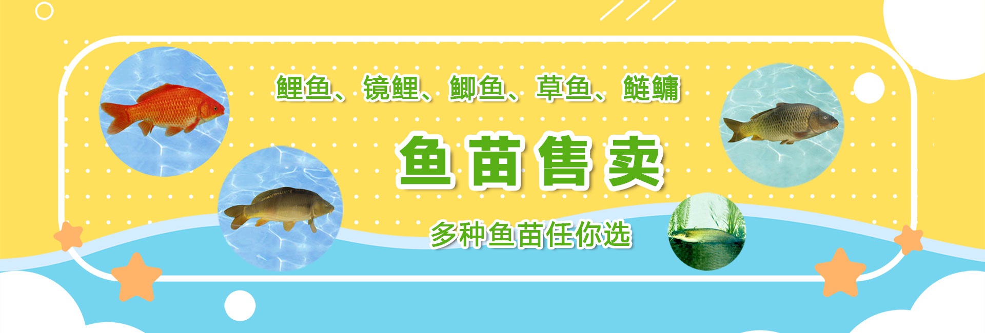 &#20048;&#40060;&#25163;&#26426;&#30331;&#24405;&#20837;&#21475;&#45;&#20048;&#40060;&#65288;&#20013;&#22269;&#65289;