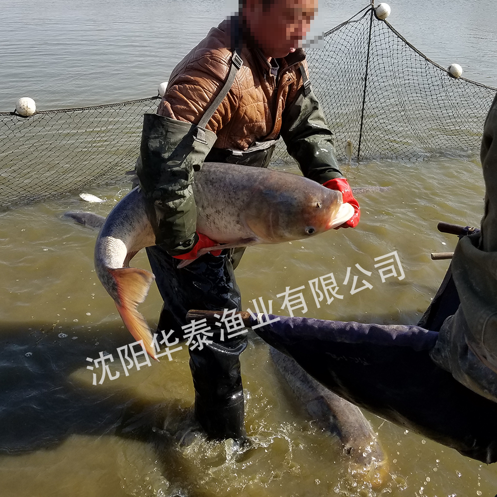 &#20048;&#40060;&#25163;&#26426;&#30331;&#24405;&#20837;&#21475;&#45;&#20048;&#40060;&#65288;&#20013;&#22269;&#65289;