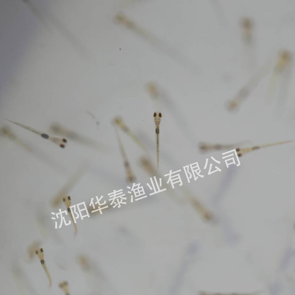 &#20048;&#40060;&#25163;&#26426;&#30331;&#24405;&#20837;&#21475;&#45;&#20048;&#40060;&#65288;&#20013;&#22269;&#65289;