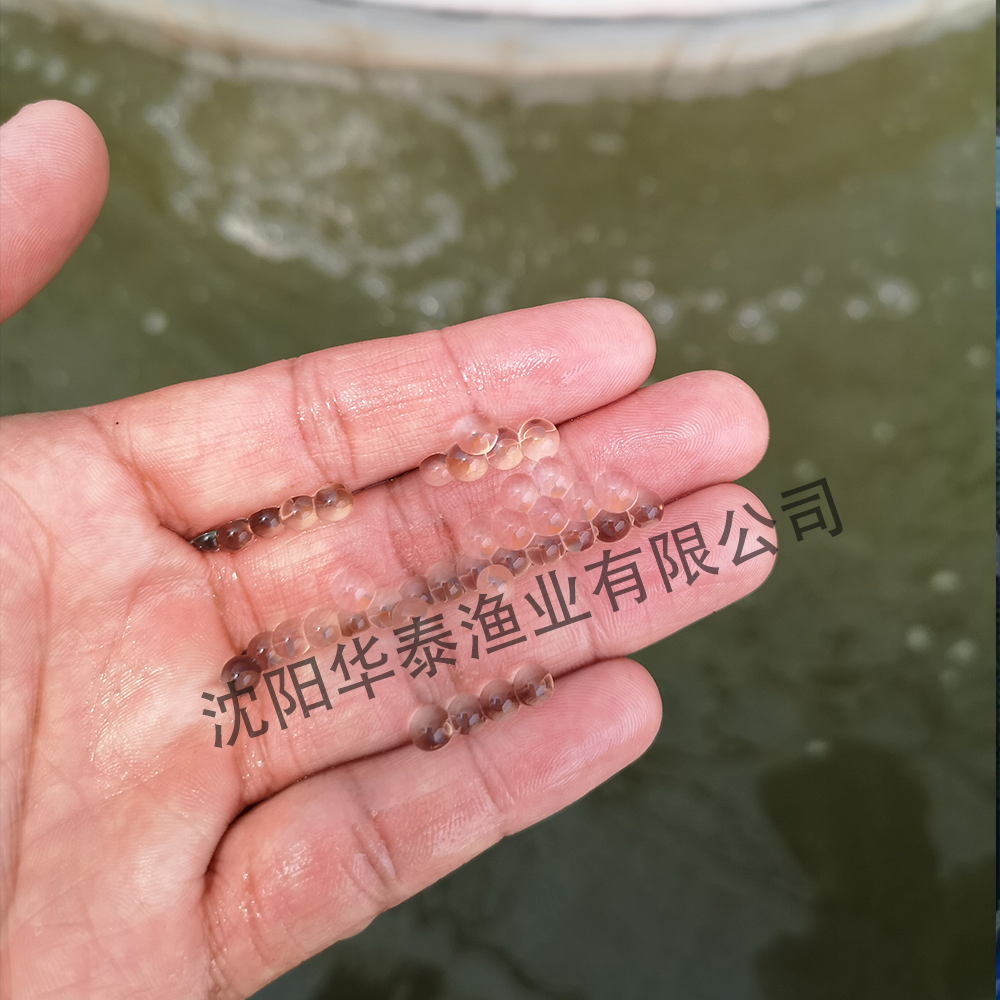 &#20048;&#40060;&#25163;&#26426;&#30331;&#24405;&#20837;&#21475;&#45;&#20048;&#40060;&#65288;&#20013;&#22269;&#65289;